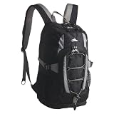 High Sierra Kelvin Daypack - Laptop Sleeve Black/Ash
