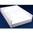 White Leather Slanted Jewelry Tray Base Display Case
