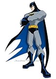 Batman BZ9454M Wall Mural