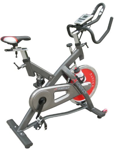 AsVIVA INDOOR CYCLE Cardio V Fitnessger&auml;t Preisvergleich