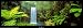 Millaa Millaa Falls, Queensland, Australia Clearance Sale Art Poster Print by Peter Lik, 38x13
