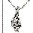 Skull with Claw Stainless Steel Pendant on 22" Bead Chain