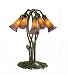 Meyda Tiffany 14962 5-Light Lily, Mahogany Bronze Finish with Amber/Purple