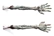 Zombie Back Scratcher