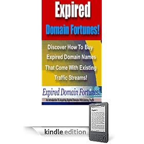 Earn Money from Expired Domain Names