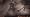 Gears of War 2