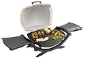 Weber Q 200 Portable Propane Grill, Silver Series