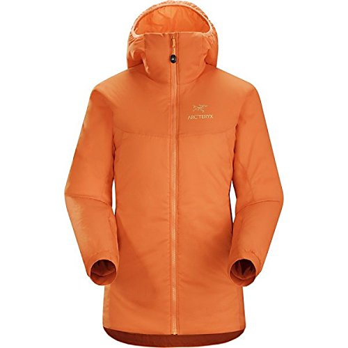 アークテリクス アウター ジャケット・ブルゾン Arc'teryx Atom LT Hooded Insulated Jacke Andromedae [並行輸入品]
