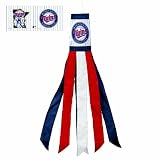 MLB Minnesota Twins Windjock
