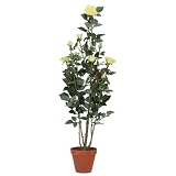 f-DECO ���[�Y�C�G���[ 110cm