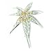 Jewelry : Silver Tone Multicolored Flower Pin Brooch
