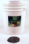 Bulk Organic Buckwheat Sprouting Seed - 30 Lbs - Unhulled - Organic - Gardening, Growing Salad Greens, Sprouts & Food Storage - Buck Wheat Sprout