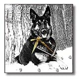 Dogs German Shepherd - German Shepherd - Wall Clocks
