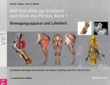 Bild-Text-Atlas zur Anatomie und Klinik des Pferdes 1 u. 2: Bewegungsapparat und Lahmheiten / Fortpflanzung und Innere Medizin
