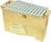 Pulse Diatonic Metallophone, Bass*