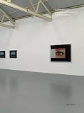 Looking at display, images of contemporary art in London galleries