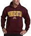 Minnesota Golden Gophers Hoodie with Arch and Mascot