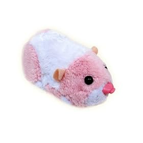 go go hamster Jilly
