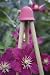 CANETOPPER 3 CANE PINK pack of 3