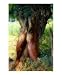 Union. Emerging Artists Photographic Poster Print by Noël Billy, 8x10