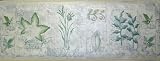 Club Pack of 12 Rolls Botanical Leaves & Plants Wallpaper Border 9