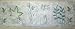Club Pack of 12 Rolls Botanical Leaves & Plants Wallpaper Border 9"