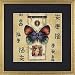Dimensions Counted Cross Stitch Kit-Oriental Butterfly