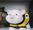 Iowa Hawkeyes Memory Company Piggy Bank NCAA College Athletics Fan Shop Sports Team Merchandise
