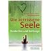 Die zerrissene Seele: Borderline und Seelsorge