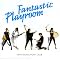 Alternative and Electro Lovers
