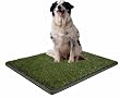 Pup-Head Portable Dog Potty - Large Size 30" x 40"