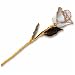 24kt Gold Trimmed Lacquered Dipped Real White Rose