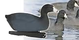 GHG Over Size Series Coot Duck Decoys