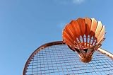 Golden Badminton - Peel and Stick Wall Decal by Wallmonkeys