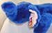 Search : Ty Beanie Buddy - Peanut the Royal Blue Elephant