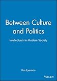 Between culture and politics : intellectuals in modern society
