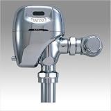 Toto TEW1DNCS Exposed Automatic Sensor Flush Valve