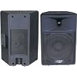 12' 2-Way Plastic Molded Loudspeaker