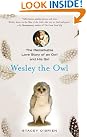 Wesley the Owl...