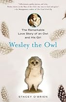 Wesley the Owl: The Remarkable Love Story of an Owl and His Girl