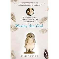 Wesley the Owl: The Remarkable Love Story of an Owl and His Girl