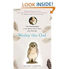 Wesley the Owl: The Remarkable Love Story of an Owl and His Girl by  Stacey O'Brien