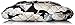 Vera Bradley Lizzy Cross Body Bag