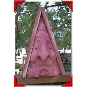Gnome Birdhouse - Nascar Ned by Woodside Gardens