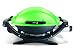 Weber Gas Grill Q 100 grün