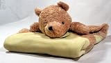 Classic Pooh Blanket ~ A Bear and his Things
