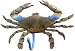 Realistically Handpainted Metal Blue Crab Wall Hook - 5