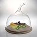 Kiss 9.5d Serve Plate/dome