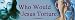Who Would Jesus Torture? -Magnetic Bumper Sticker