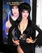 ELVIRA 24x36 COLOR POSTER PRINT